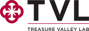 TVL Alpha Lab PAML Logo